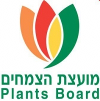 הנדון: צו לעניין יבוא ירקות בעיתות מחסור