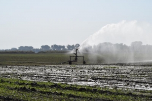 בג״צ דחה עתירת חקלאי לקבלת מכסות המים באופן פרטני ולא באמצעות האגודות השיתופיות