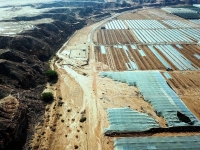 נזקים לחקלאות בעידן בערבה התיכונה