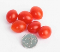 משרד החקלאות עוקב אחר מחיר העגבניות בשוק, ואם מחירן ימשיך לעלות, יפעל המשרד להורדת המחיר לצרכן