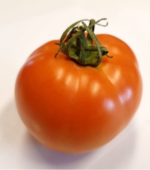 ⁨מדריך לזיהוי העגבנייה המקומית - איך נדע האם העגבנייה שאנו מחזיקים היא עגבנייה ישראלית?⁩