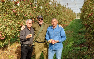 בצילום מימין- ירון בלחסן מנכל ארגון מגדלי הפירות בישראל, אסף שוורץ מנהל מטע בקיבוץ יראון וחכ אלון שוסטר