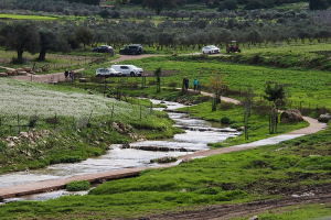 נחל ציפורי