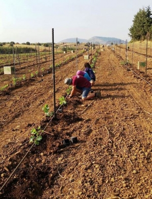 ‎⁨&#039;השומר החדש&#039; בשיתוף &#039;מעוף&#039; יקיימו כנס לחקלאים צעירים⁩