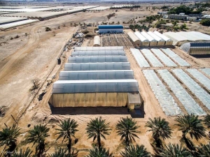 מיליארד סינים לא טועים: הוקמה חממה סינית ניסיונית במו&quot;פ ערבה תיכונה לבחינת הפקת אנרגיה ושיפור היבול בארץ ובסין!