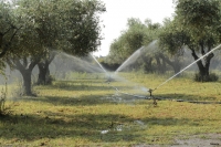 עדכונים תקופתיים בנוגע לאספקת מים