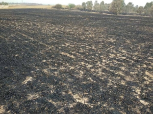 ועדת הכספים דורשת: תוך שבועיים תקנות קבועות לעניין פיצוי העסקים בעוטף עזה