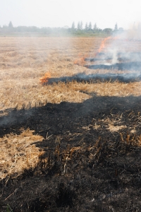 ⁨בתנועת האיחוד החקלאי קוראים להקמת ועדת חקירה: מדיניות האוצר בנושא משק המים מסכנת את אזרחי המדינה⁩