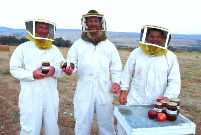 מועצת הדבש: תפוקת הדבש השנה תעמוד על כ- 3,600 טון