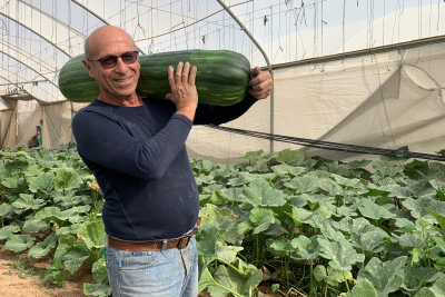 גיורא אביהר חקלאי ממושב חצבה בערבה התיכונה אוחז בדלעת הענקית 