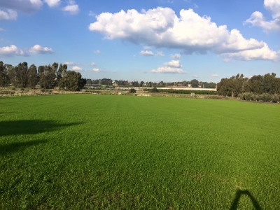 &quot;חיסול החקלאות הישראלית יעלה למדינת ישראל הרבה יותר מחצי מיליארד&quot;