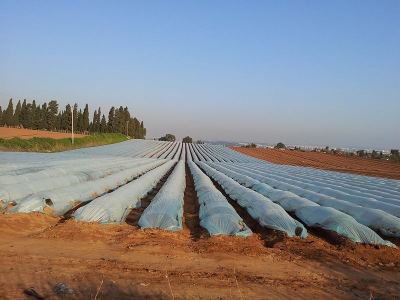 הותמ&quot;ל רק הרס וחיסל כפרים אבל לא בנה ולא מספק מענה לצרכים האמיתיים - המחסור ורמת מחירים גבוהה באיזורי הביקוש