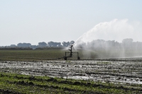 הודעה לציבור החקלאים במערכת הארצית בעניין הפחתת הכמות בהקצאות המים לשנת 2018