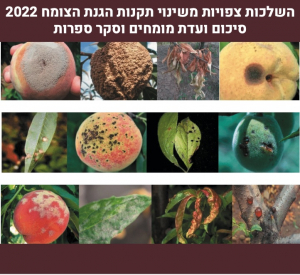 תמונת השער: מחלות באפרסקים. Yao וחובריו, 2021