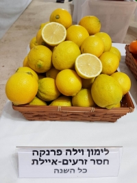 לימון