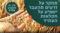 חקר זרעים 