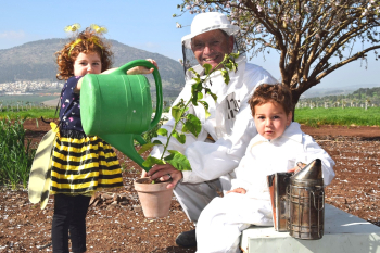 ‏‏נטיעות צופניות