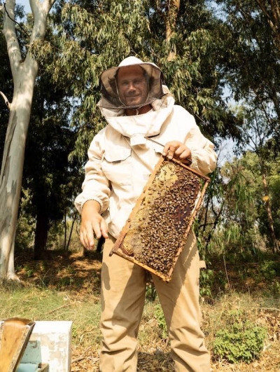 נועם טור