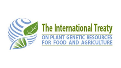 &quot;מגוננים על הגֵנים&quot;: מדינת ישראל הצטרפה לאמנה הבינלאומית של האו&quot;ם לשימור מגוון גנטי לצרכי ייצור מזון מהצומח