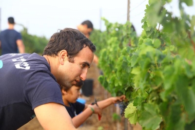 הזום של החקלאים: הכירו את האפליקציה כחול-לבן שהצילה מאות אלפי טונות של פירות וירקות